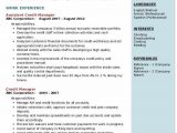 Sample Resume for the Post Of Credit Manager Credit Manager Resume Samples