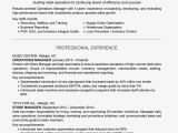 Sample Resume for top Management Position Manager Resume Examples and Writing Tips