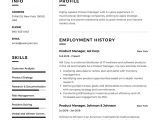 Sample Resume for top Management Position Product Manager Resume Sample Template Example Cv
