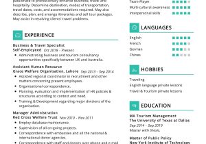 Sample Resume for Travel Sales Consultant Travel Agent Resume Sample 2022 Writing Tips – Resumekraft