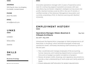 Sample Resume for Trucking Operations Manager Operations Manager Resume & Writing Guide  12 Examples Pdf
