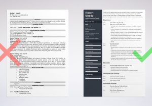 Sample Resume for Tsa Airport Security Security Guard Resume & Examples Of Job Descriptions