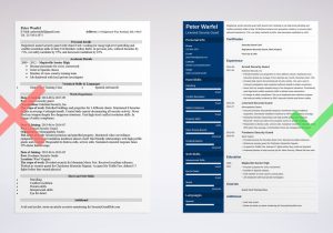 Sample Resume for Tsa Airport Security Security Guard Resume & Examples Of Job Descriptions