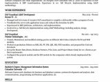 Sample Resume for Two Year Experience In Sap Sap Consultant Resume Example