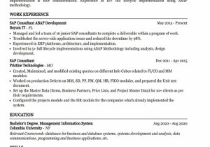 Sample Resume for Two Year Experience In Sap Sap Consultant Resume Example