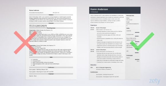 Sample Resume for Ui Developers with 1 Year Experience User Interface (ui) Developer Resume Sample & Guide