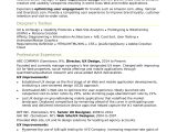 Sample Resume for Ui with 1 Year Experience Sample Resume for An Experienced Ux Designer Monster.com