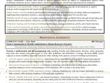 Sample Resume for Undergraduate Admission Ivy League Sample Resumes – Ivy League Resumes