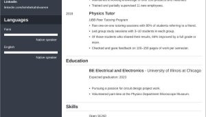 Sample Resume for Undergraduate College Students Undergraduate College Student Resume: Sample & Templates