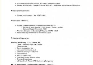 Sample Resume for Us University Application College Application Resume Template