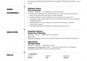 Sample Resume for Us University Application Resume Example for University Application