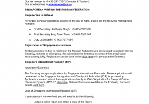 Sample Resume for Us Visa Application Good Us Visa Resume Template Addictips