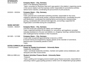 Sample Resume for Us Visa Application Good Us Visa Resume Template Addictips