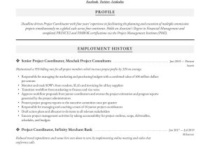 Sample Resume for Utilization Management Coordinator Project Coordinator Resumes & Guide  22 Examples 2022