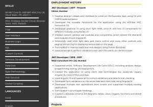 Sample Resume for Vb.net Developer Sample Resume Of .net Developer with Template & Writing Guide …