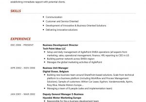 Sample Resume for Vendor Development Manager Business Development Director Resume Sample 2021 Writing Tips …