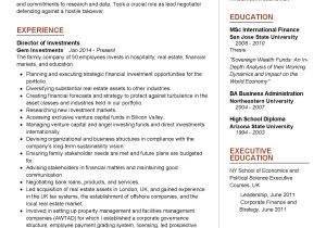 Sample Resume for Venture Capital Analyst Investment Executive Resume Sample 2022 Writing Tips – Resumekraft
