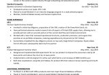 Sample Resume for Venture Capital Analyst Venture Capital Cv Template [free]
