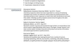 Sample Resume for Verizon Wireless Sales Rep Insurance Advisor Resume Sample 2021 Write Guide & Tips …