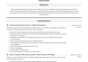 Sample Resume for Verizon Wireless Sales Rep Internal Sales Representative (isr)