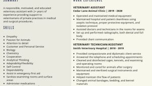Sample Resume for Vet assistant Job Veterinary assistant Resume Samples and Tips [pdflancarrezekiqdoc Templates …