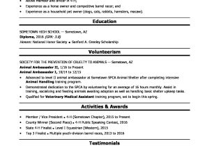 Sample Resume for Veterinary assistant with No Experience High School Grad Resume Sample Monster.com