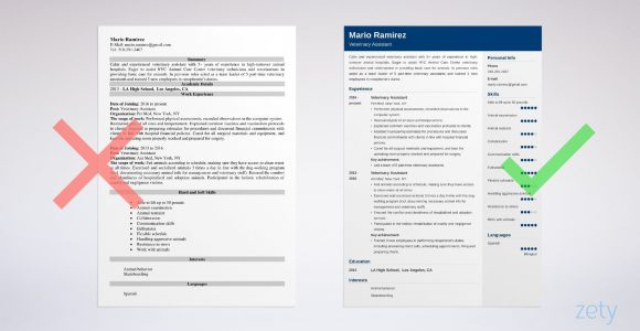 Sample Resume for Veterinary assistant with No Experience Veterinary assistant Resume: Sample & Writing Guide [20lancarrezekiq Tips]