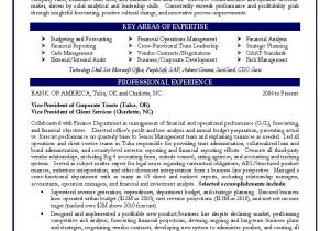 Sample Resume for Vice President Of Administration Cfo Sample Resume Vp Of Finance Sample Resume Certified Resume …