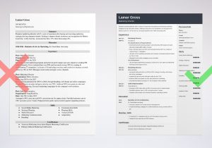 Sample Resume for Vice President Of Broadcast Sales Marketing Director Resume Examples and Guide