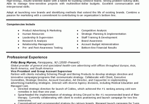Sample Resume for Vice President Of Operations Example Resume Resume format Vice President