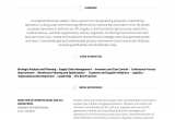 Sample Resume for Vice President Of Operations Vice President Operations Resume Samples and