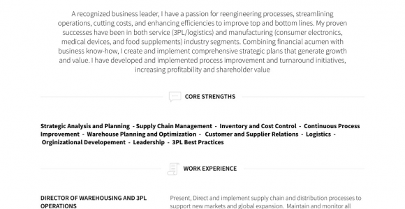 Sample Resume for Vice President Of Operations Vice President Operations Resume Samples and