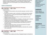 Sample Resume for Vice President Of Operations Vice President Operations Resume Samples