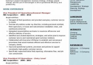 Sample Resume for Vice President Of Operations Vice President Operations Resume Samples