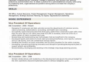 Sample Resume for Vice President Of Operations Vice President Operations Resume Samples