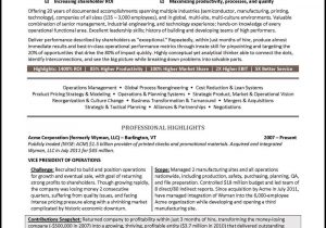 Sample Resume for Vice President Of Operations Vice President Resume Example