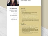 Sample Resume for Video Game Qa Tester Free Free Computer Game Tester Resume Template – Word, Apple Pages …