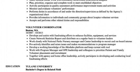 Sample Resume for Volunteer Board Position Free Volunteer Coordinator Resume Samples Velvet Jobs