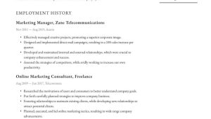 Sample Resume for Vp Of Marketing Marketing Manager Resume Examples & Writing Tips 2022 (free Guide)