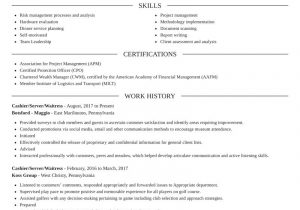 Sample Resume for Waitress and Cashier Cashier Server Waitress Resumes