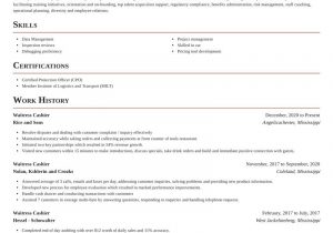 Sample Resume for Waitress and Cashier Waitress Cashier Resumes