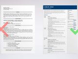 Sample Resume for Waitress or Bartender Waitress Resume Examples, Skill List, and How-to Guide