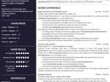 Sample Resume for Waitress without Experience Job-winning Waiter / Waitress Cv Example   the Ultimate Guide