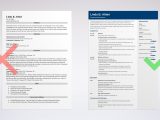Sample Resume for Waitress without Experience Waitress Resume Examples, Skill List, and How-to Guide