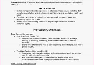 Sample Resume for Warehouse Manager In India 67 Beautiful S Sample Resume for Warehouse Manager