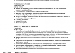 Sample Resume for Warehouse Manager In India Warehouse Manager Resume Sample