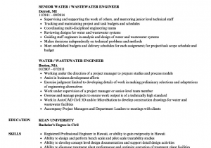 Sample Resume for Water Treatment Engineer Water Resource Engineer Cv July 2020