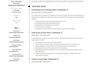 Sample Resume for Wendy S Cashier Server Resume & Writing Guide   17 Examples (free Downloads) 2020