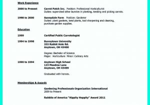 Sample Resume for Work Immersion Senior High School Sample Resume for Work Immersion Senior High School