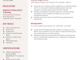 Sample Resume for Wound Care Nurse Medical Surgical Nurse Resume Examples In 2022 – Resumebuilder.com